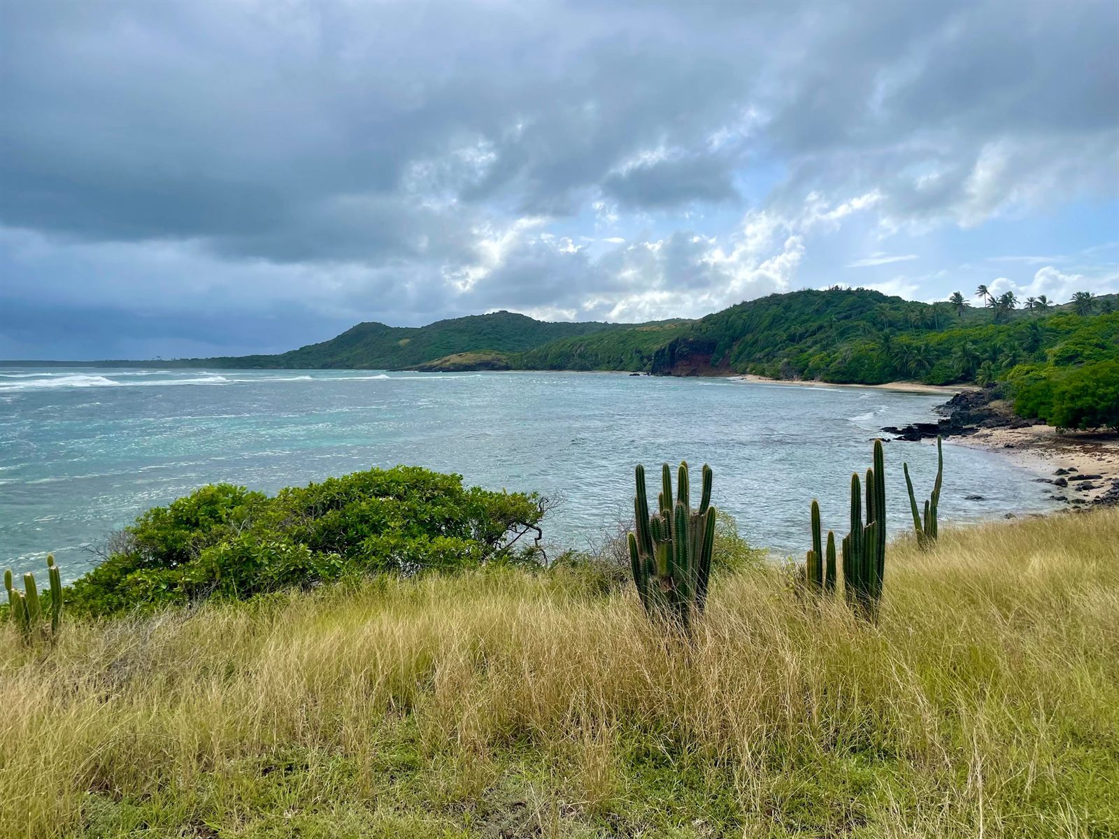 Martinique coastline with cacti, green hills and a turquoise bay